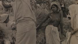 Women and society